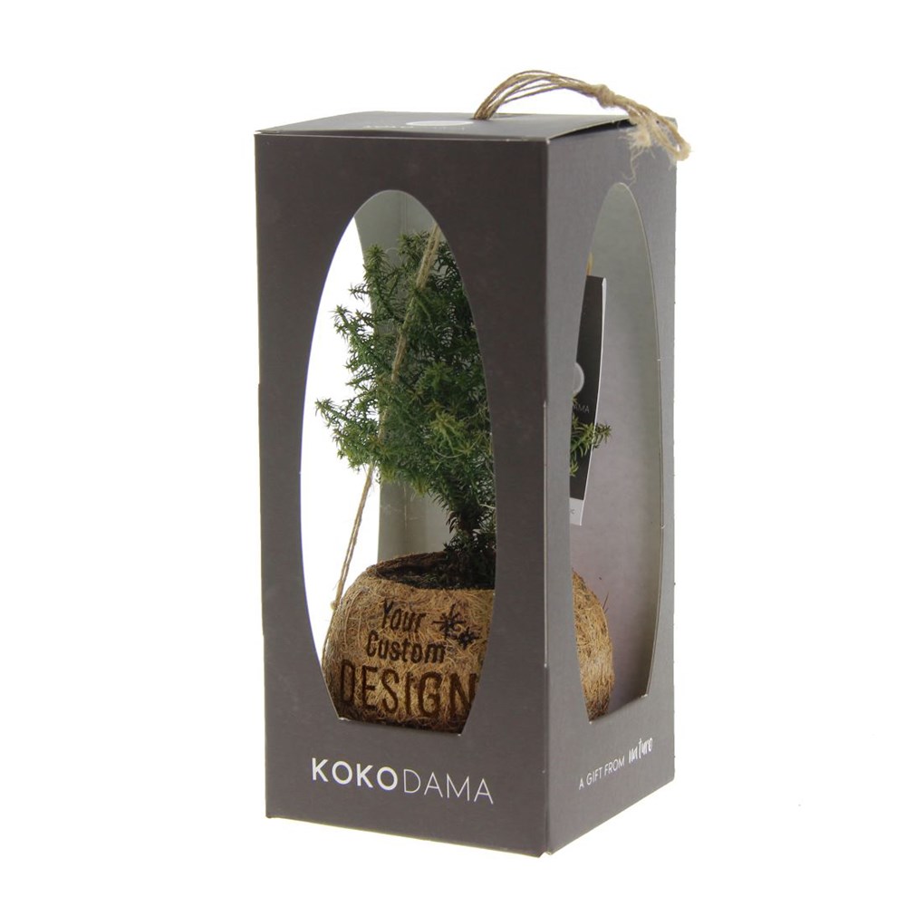 Kokodama® Christmas in giftbox (S)