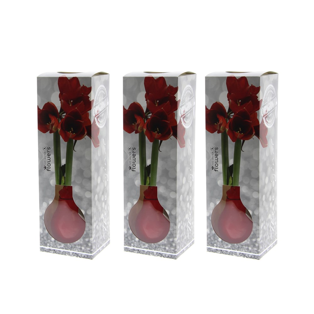 No Water Flowers® - Formz modern in luxury box, Bordeaux
