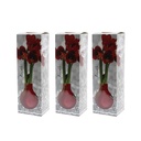 No Water Flowers® - Formz modern in luxury box, Red
