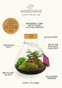Plant terrarium erlenmeyer - ecosystem in giftbox