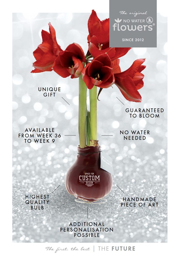 No Water Flowers® - Waxz® in cylinder, Bordeaux