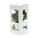 Smylieplant® small in giftbox