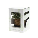 Kokodama® Industrial in giftbox (M)