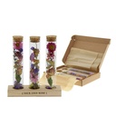 Dried Flowers in Letterbox (M), Purple