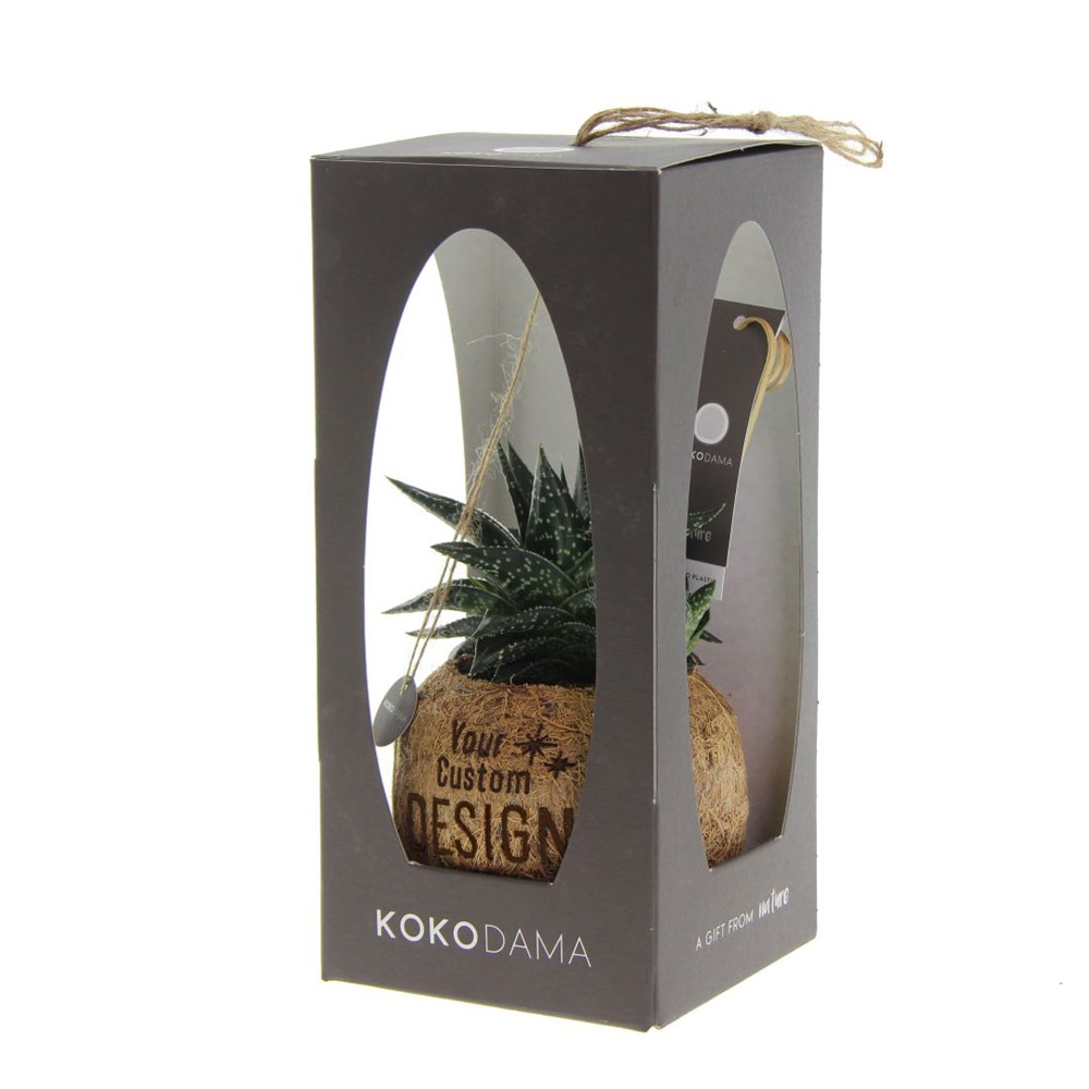 Kokodama® succulent in giftbox (S)