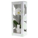 Message Printz® - Orchid in giftbox