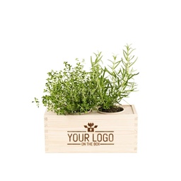 [A109-BLOOMSHERBSM] Herbs out of the Box - M