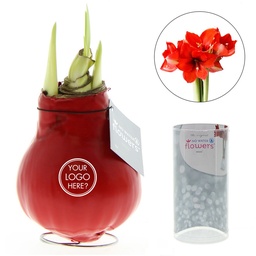 No Water Flowers® - Waxz® in cylinder